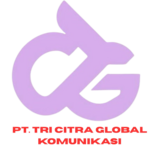 citraglobal.net